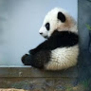 Meet your Posher, Rachael